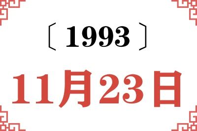 1993年11月23日